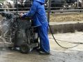 rain or shine grooving a outside cow yard