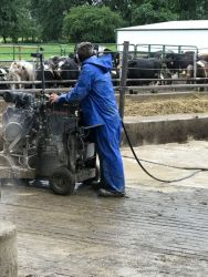 rain or shine grooving a outside cow yard