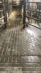 small concrete ramp to milk parlor
